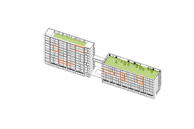 171763372244156258.jpg 形体-4.jpg